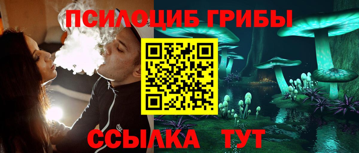 Подольск  Псилоцибиновые грибы GOLDEN TEACHER  Вход с VPN  Псилоцибиновые грибы Magic Shrooms 
