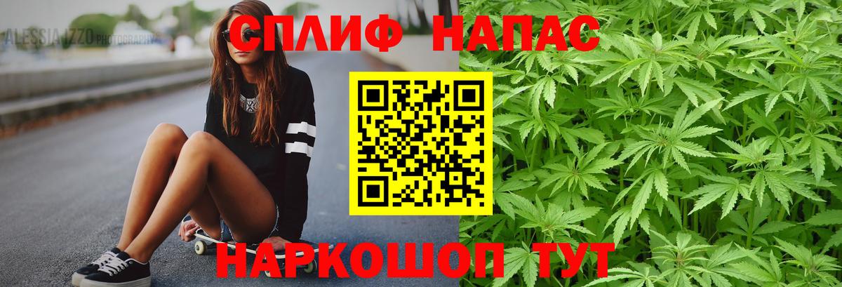 Бошки Шишки MAZAR Подольск